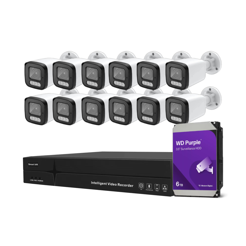 Onecam FA series NVR + Onecam DarkViewer IP camera Package