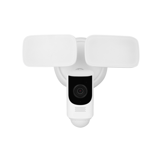 DH 4MP Fixed-focal Floodlight Network Camera
