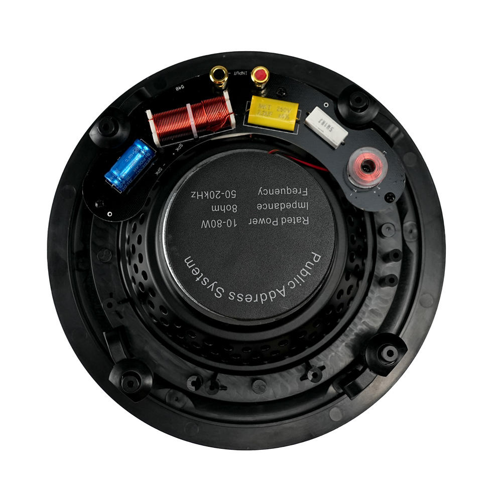 Two-way Coaxial 6inch Ceiling Speakers and Wireless Waterproof Amplifier Loudspeaker Woofer 80 Watt Horn With Rgb Speakers